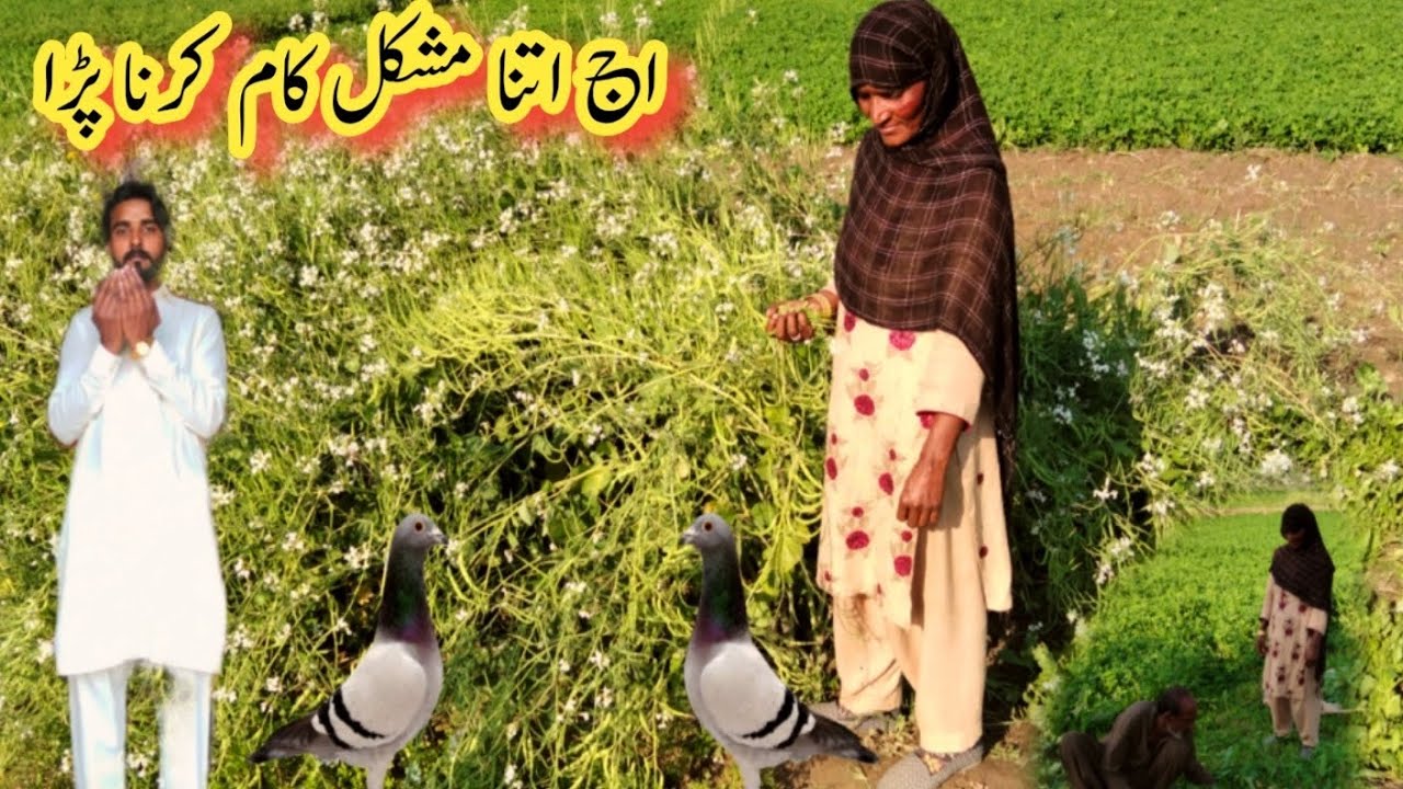 Aaj itna mushkil kam karna pada Nusrat family vliog+923444022582,@PakVillageFamily 