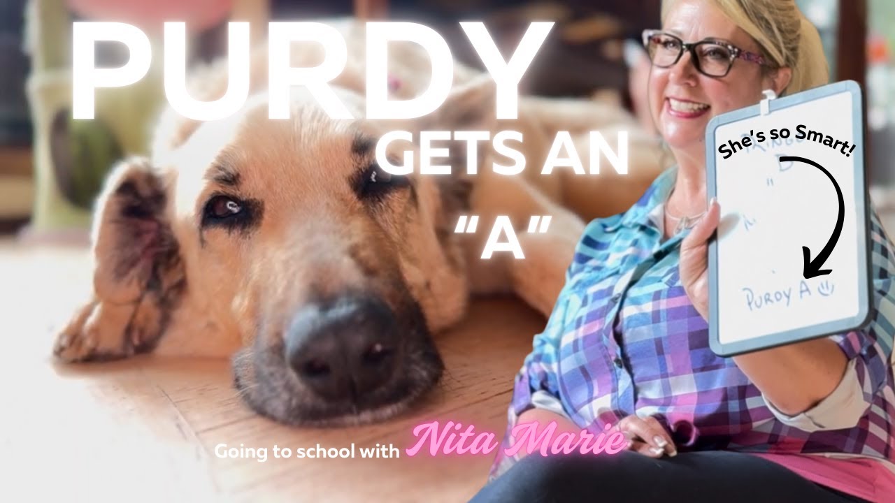 Nita Maries takes her dogs back to school (PART 2!) - Get to know Nita Marie