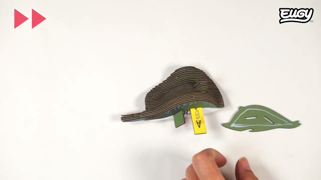 EUGY Stingray Instruction Video