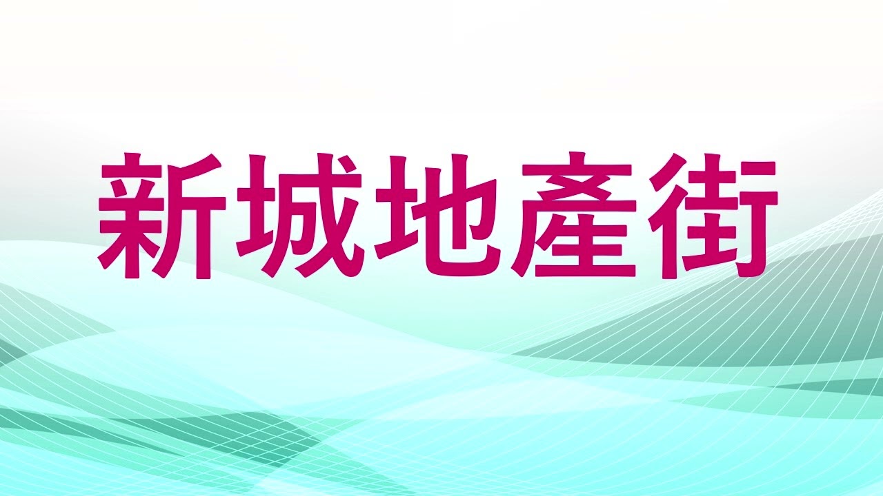 縱橫遊常務董事袁振寧