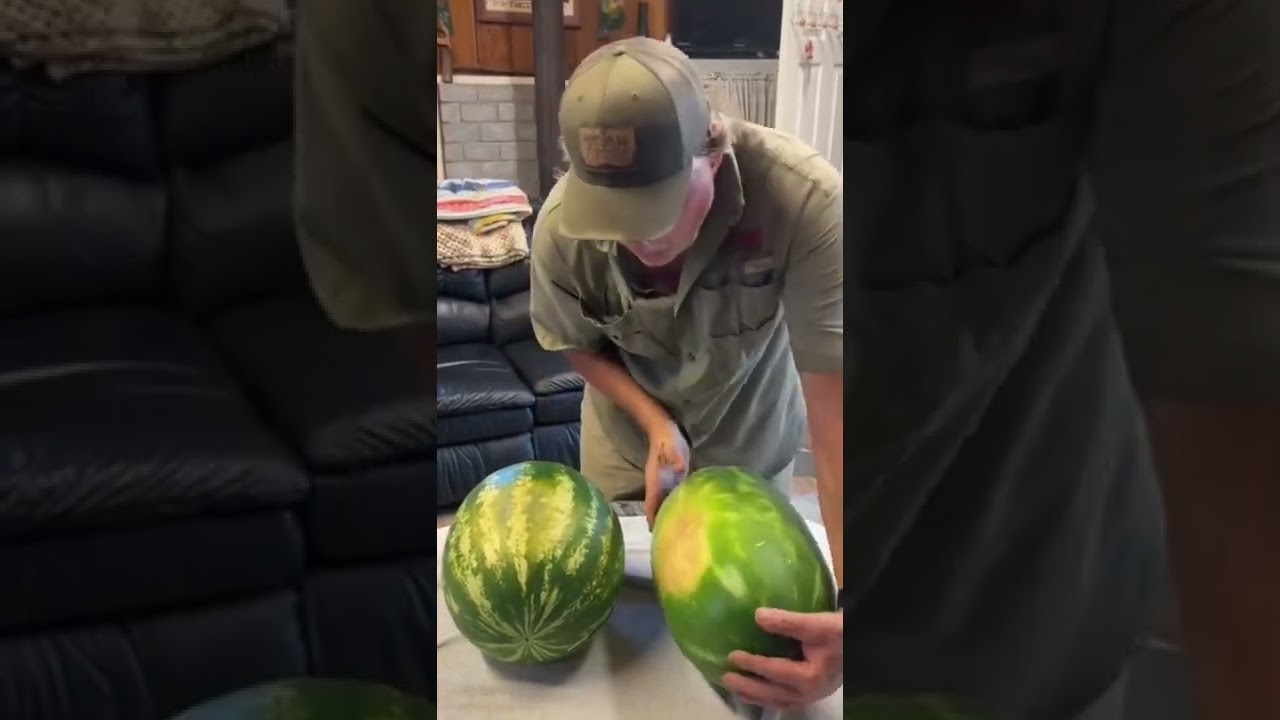 How To Pick A Ripe Watermelon!