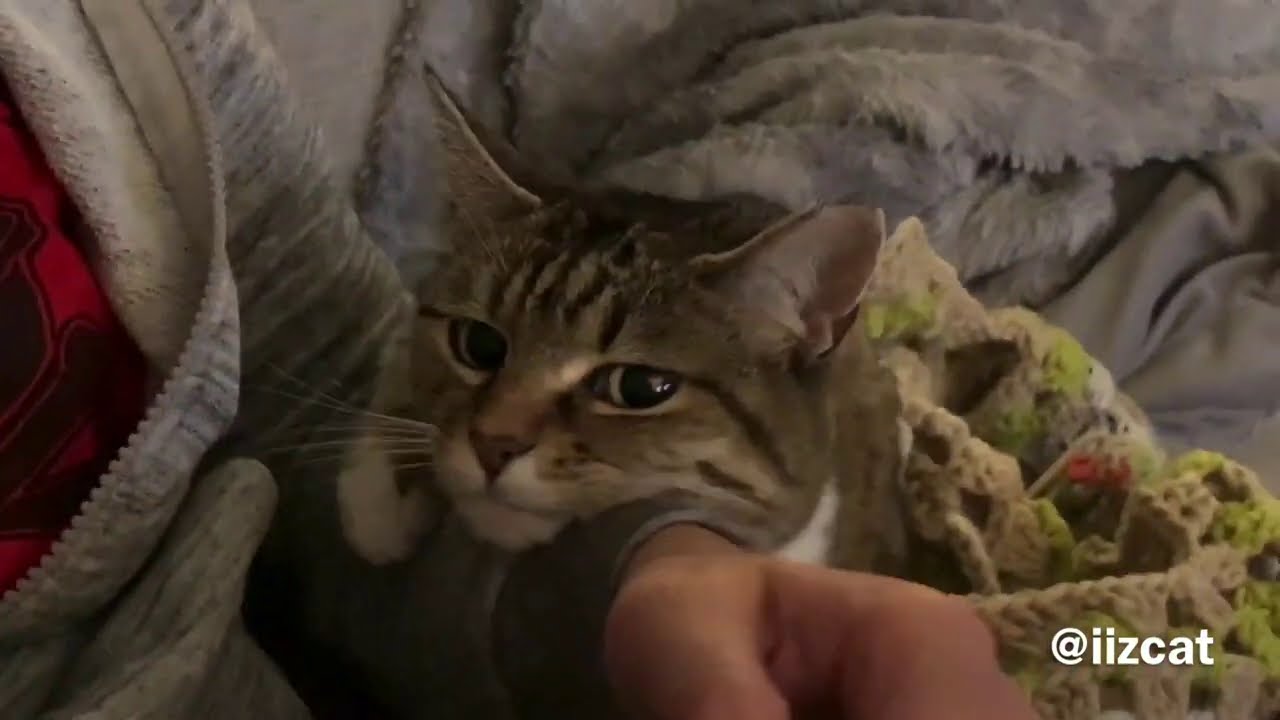 Crocheting with Minnie
