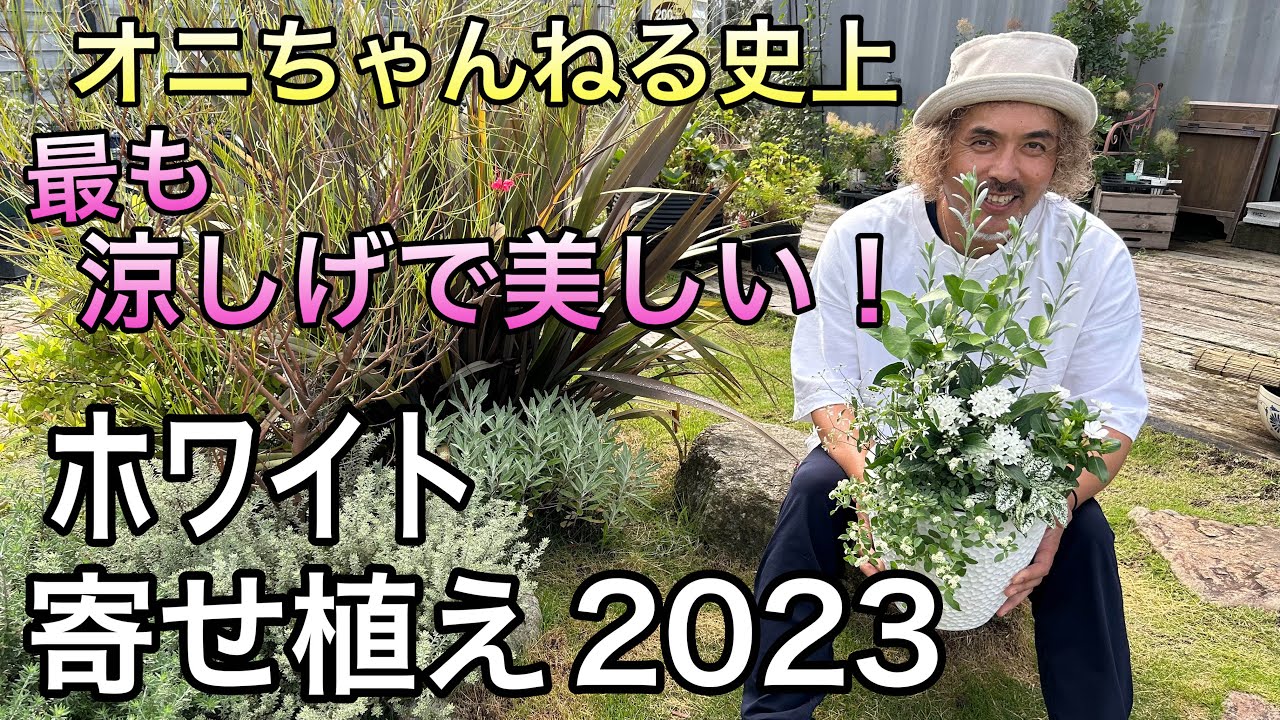 【寄せ植え】涼しげな夏のホワイト寄せ植え2023☆