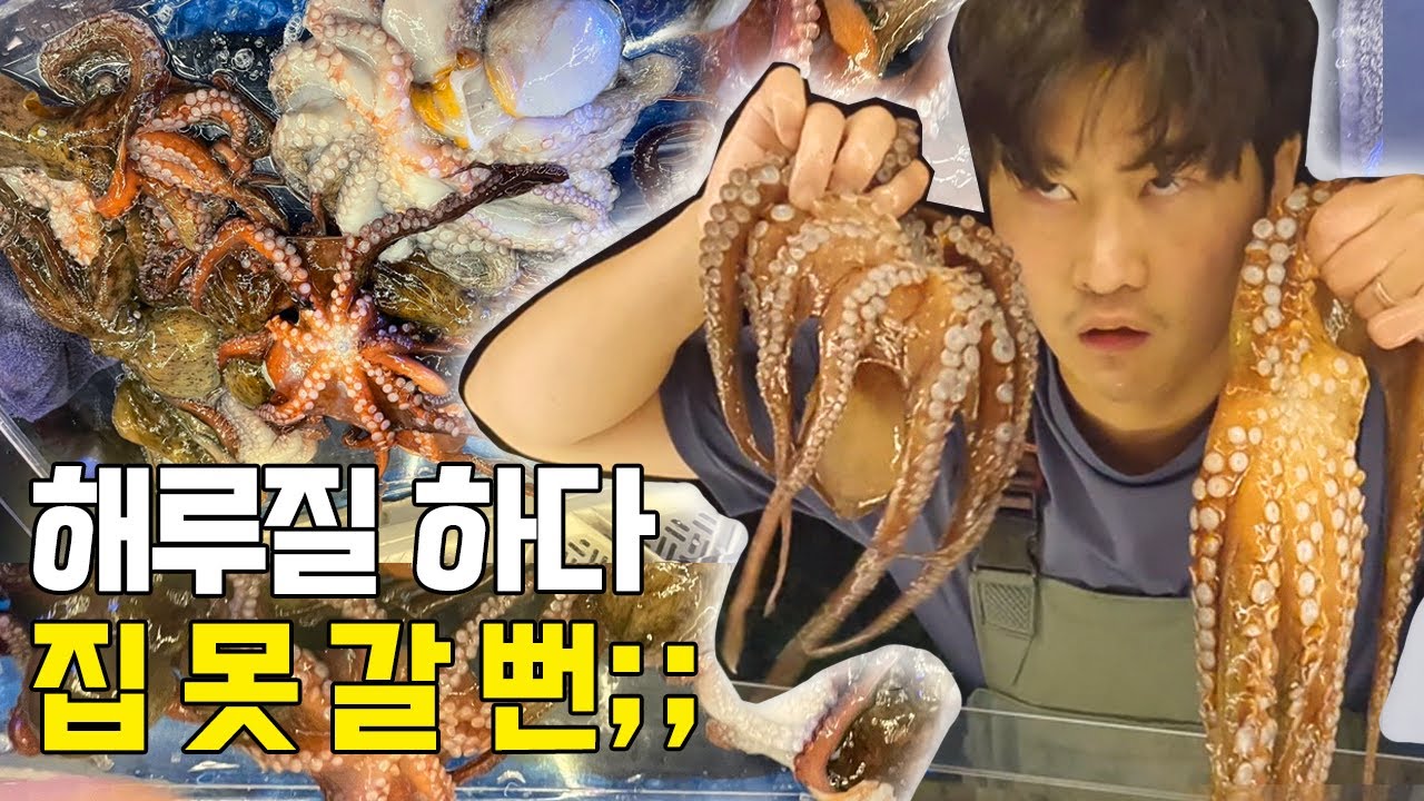 동해바다 문어바글바글포인트 / 해루질하다 집 못갈뻔