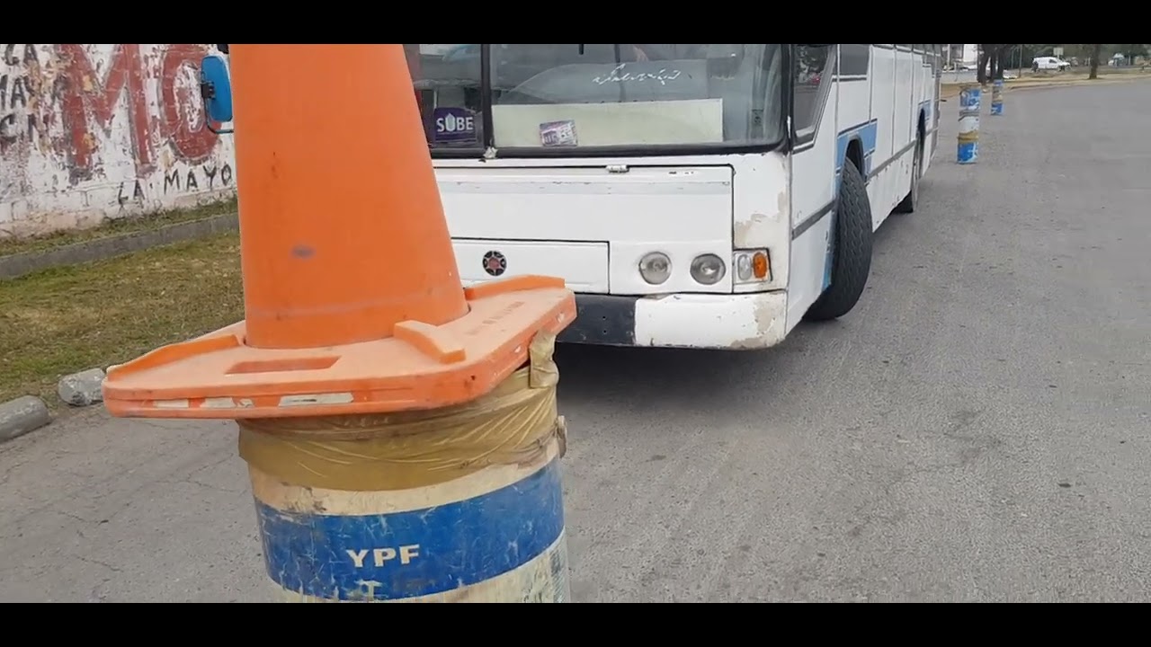 manejando omnibus. FELIZ PRIMAVERA.