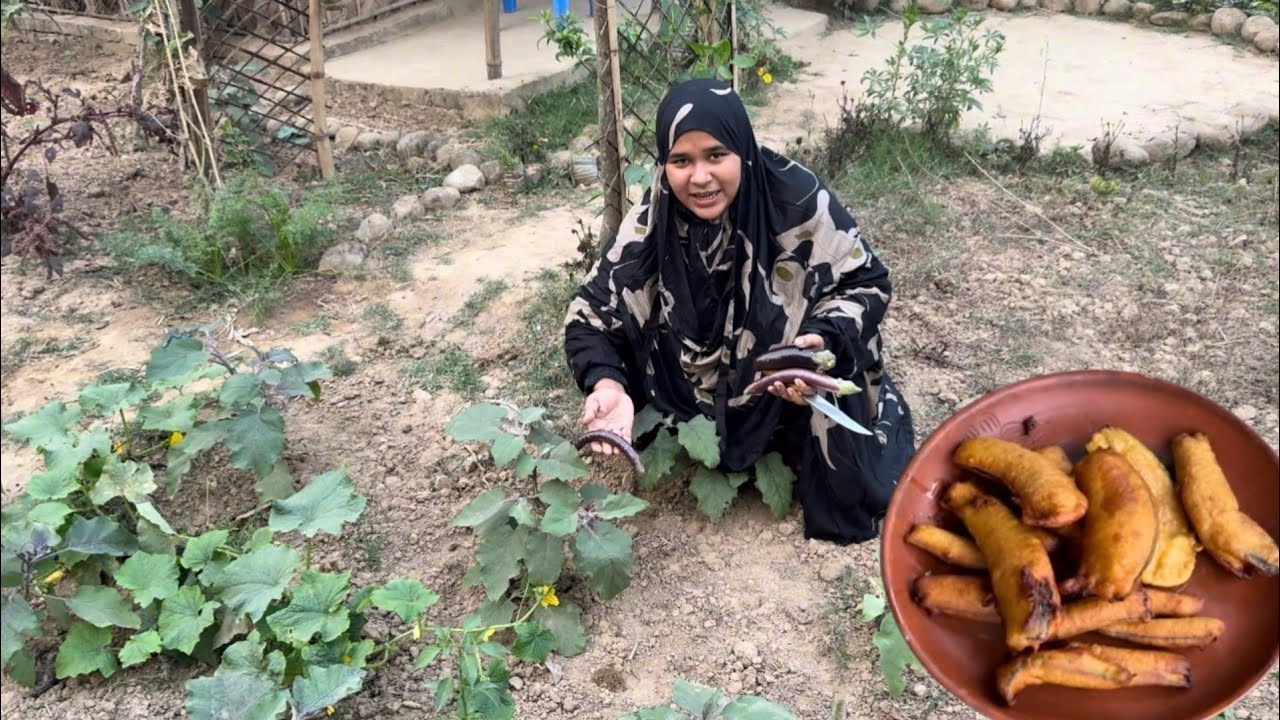 বাগানের প্রথম বেগুন দিয়ে ইফতারের জন্য বানালাম ফুলকো ফুলকো বেগুনি || Villfood by Laki