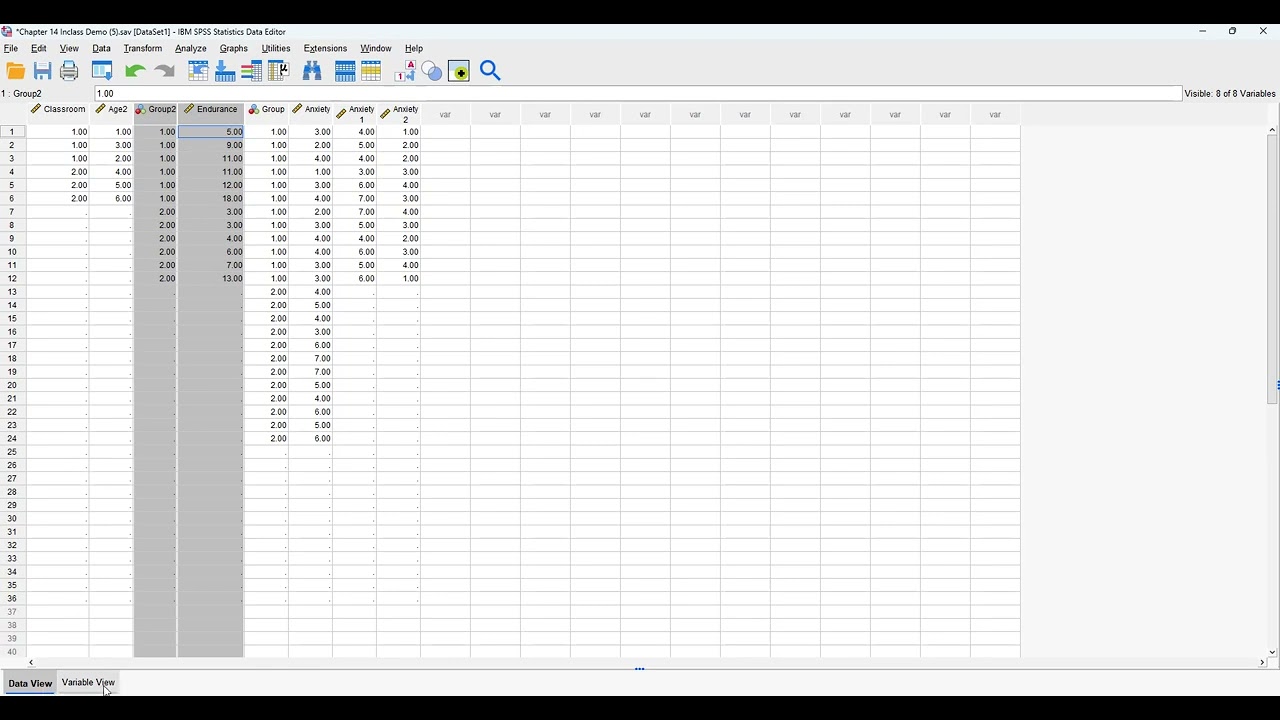 Value Labels SPSS