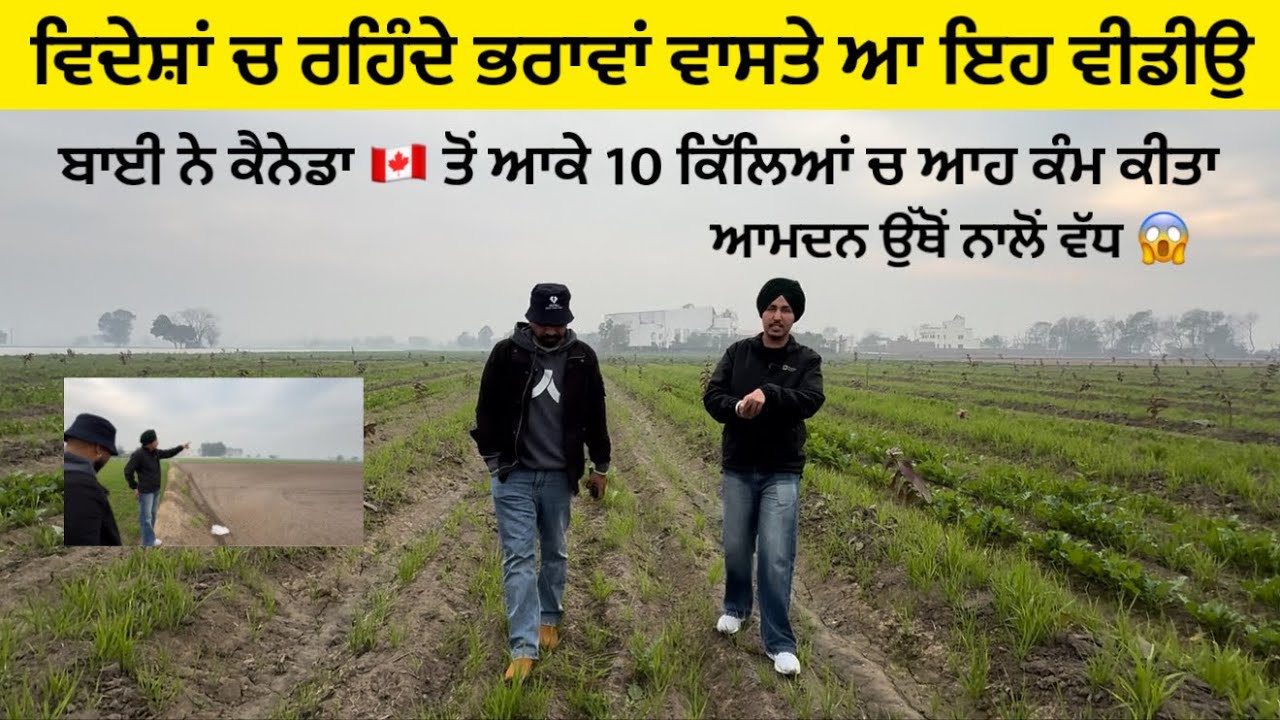 ਕੈਨੇਡਾ ਤੋਂ ਆਕੇ 10 ਕਿੱਲੇ ਜਮੀਨ ਚ ਬਾਈ ਦੇਖੋ ਕੀ ਕਰ ਰਿਹਾ,,nri ਭਰਾਵਾਂ ਲਈ ਬਹੁਤ ਫਾਇਦੇ ਦੀ ਵੀਡੀਉ 