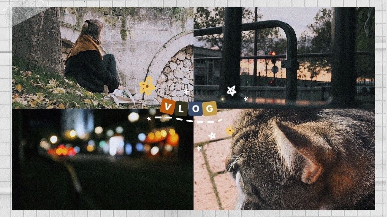 🌟 Vlog / 1 an plus tard... (a magical day) 🌳