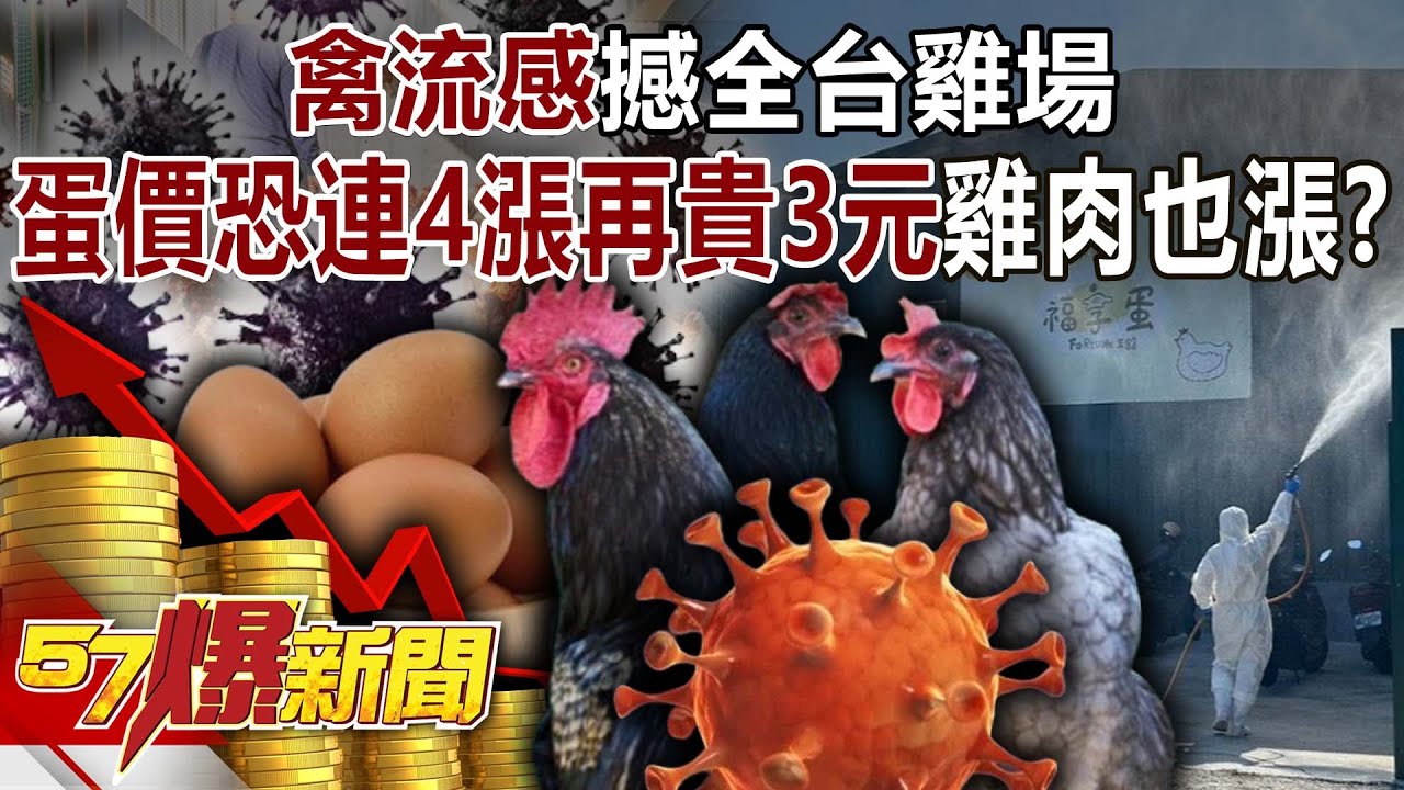 「禽流感」撼全台雞場…蛋價恐「連4漲」再貴3元？ 雞肉也漲？-羅旺哲 巫嘉芬 黃世聰 王映亮 徐俊相《57爆新聞》20260129-1