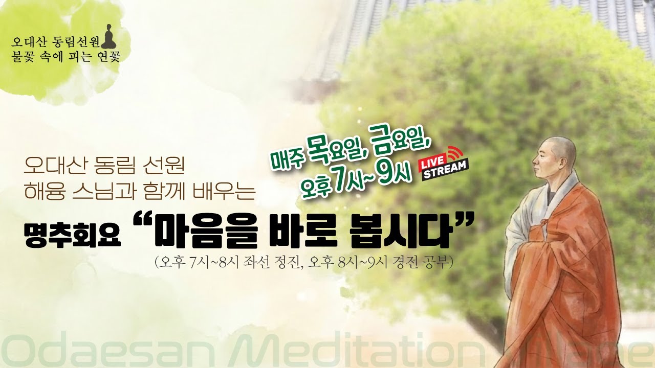 불꽃 속에 피는 연꽃 | 2026.1.22.(목) 저녁 정진  |  좌선 & 경전 공부(마음을 바로봅시다) ㅣ Meditation Daily Guided