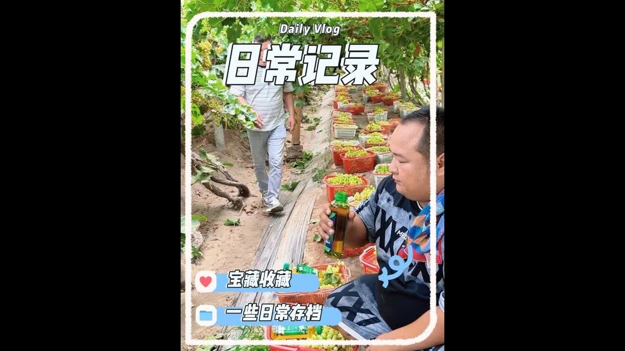 #吐鲁番 #葡萄 #原创动画 #农村生活回忆 @DOU+上热门 @抖音小助手 @DOU+小助手 谢谢大家支持