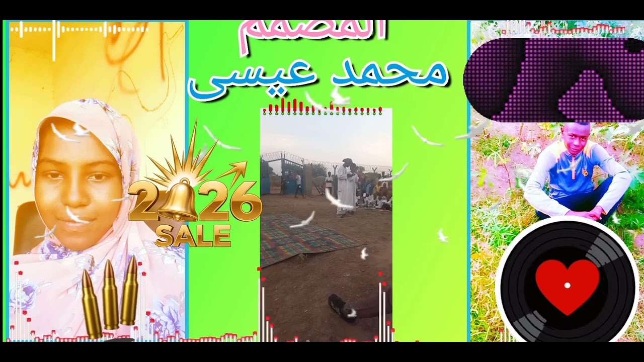 ١٢ فبراير ٢٠٢٦
