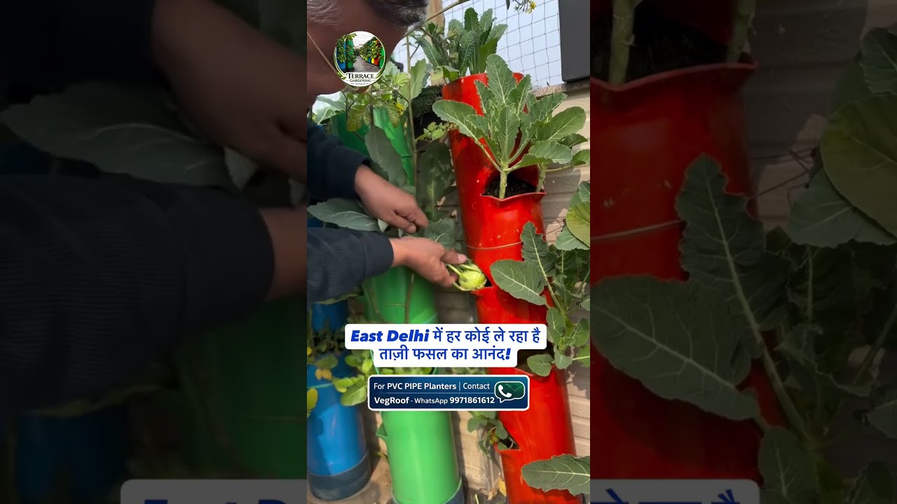 PVC Garden &ndash; Grow Green, Live Clean Strong & Durable Garden Solutions for Every Space.
