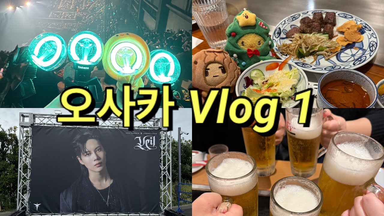 [덕질 Vlog]  | 크리스마스에는 태민이와... 베일콘 in 효고 | 덕질 브이로그 | SHINee TAEMIN | 샤이니 태민