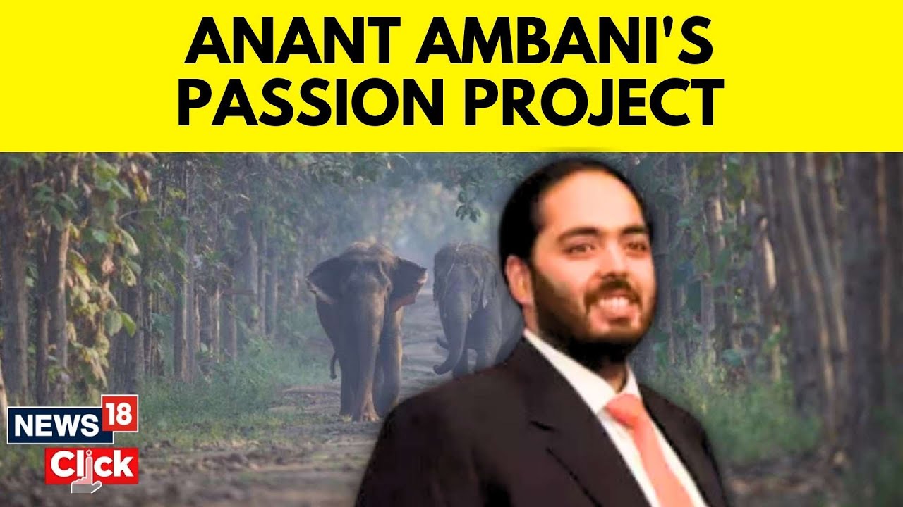 In Conversation With Anant Ambani About His Passion Project - Vantara | Exclusive Interview | N18V