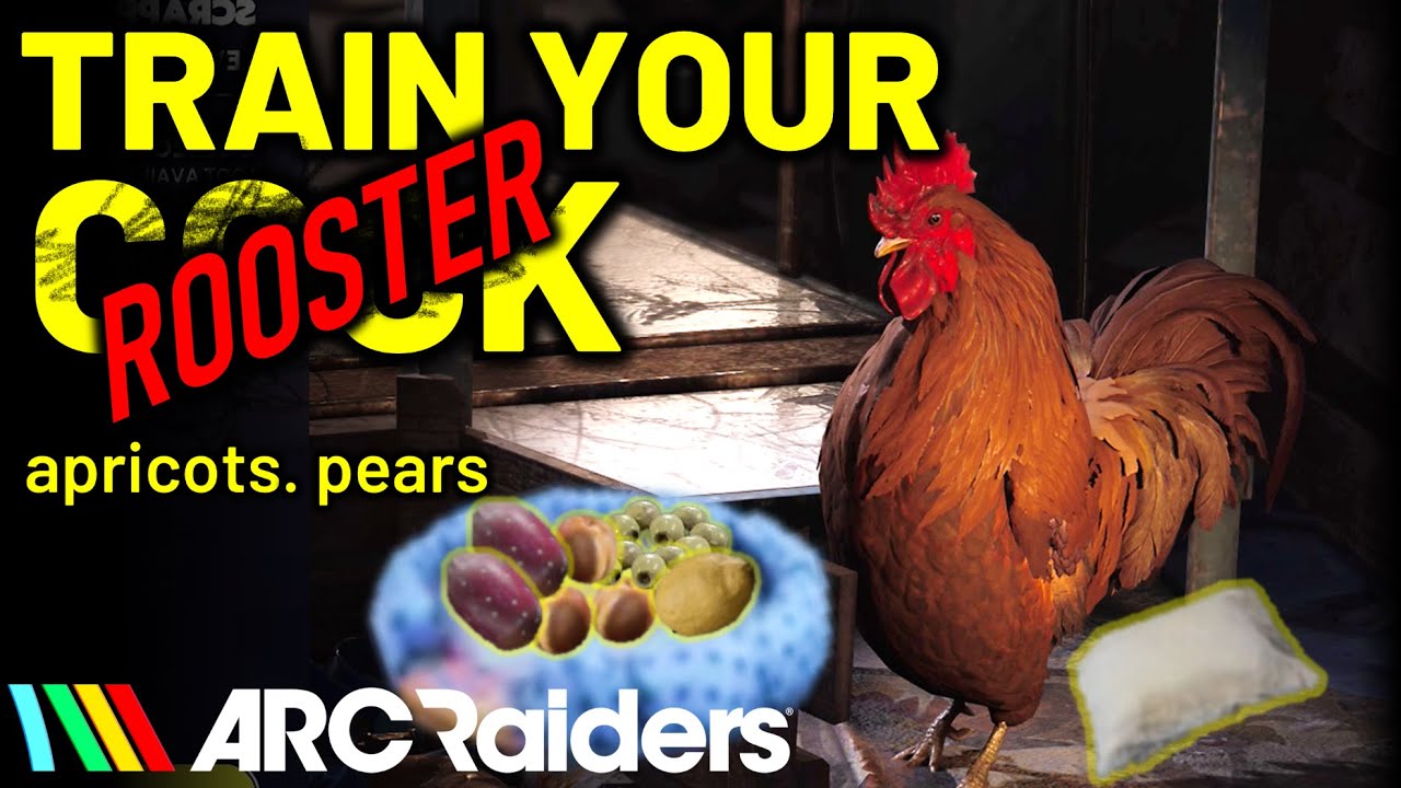 ARC Raiders: как быстро и легко повысить уровень Петуха Скрэппи
