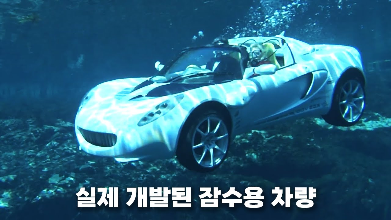 제정신 아닌 실제 자동차들