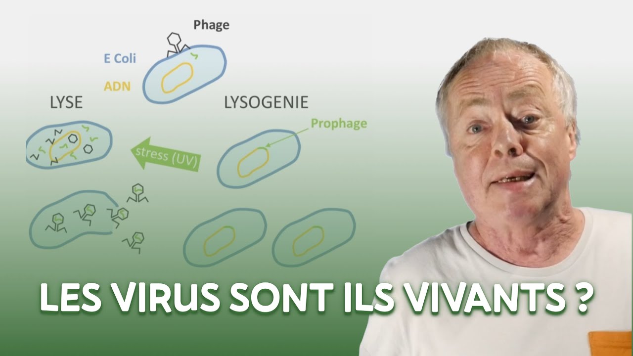 Les virus sont ils vivants ?