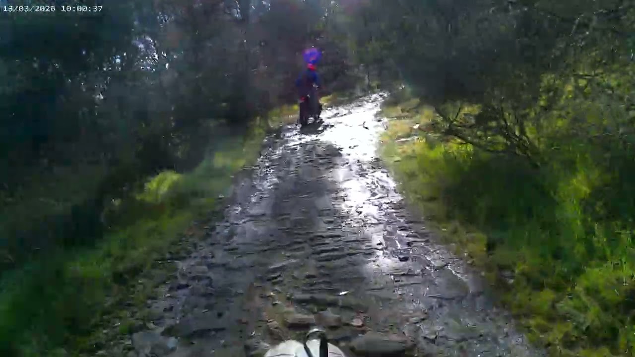 Venerdì 13 🍀  n.1