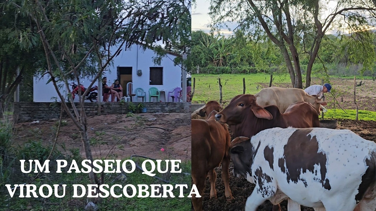 MUITO ALÉM DE UM SIMPLES PASSEIO NO JUCÁS