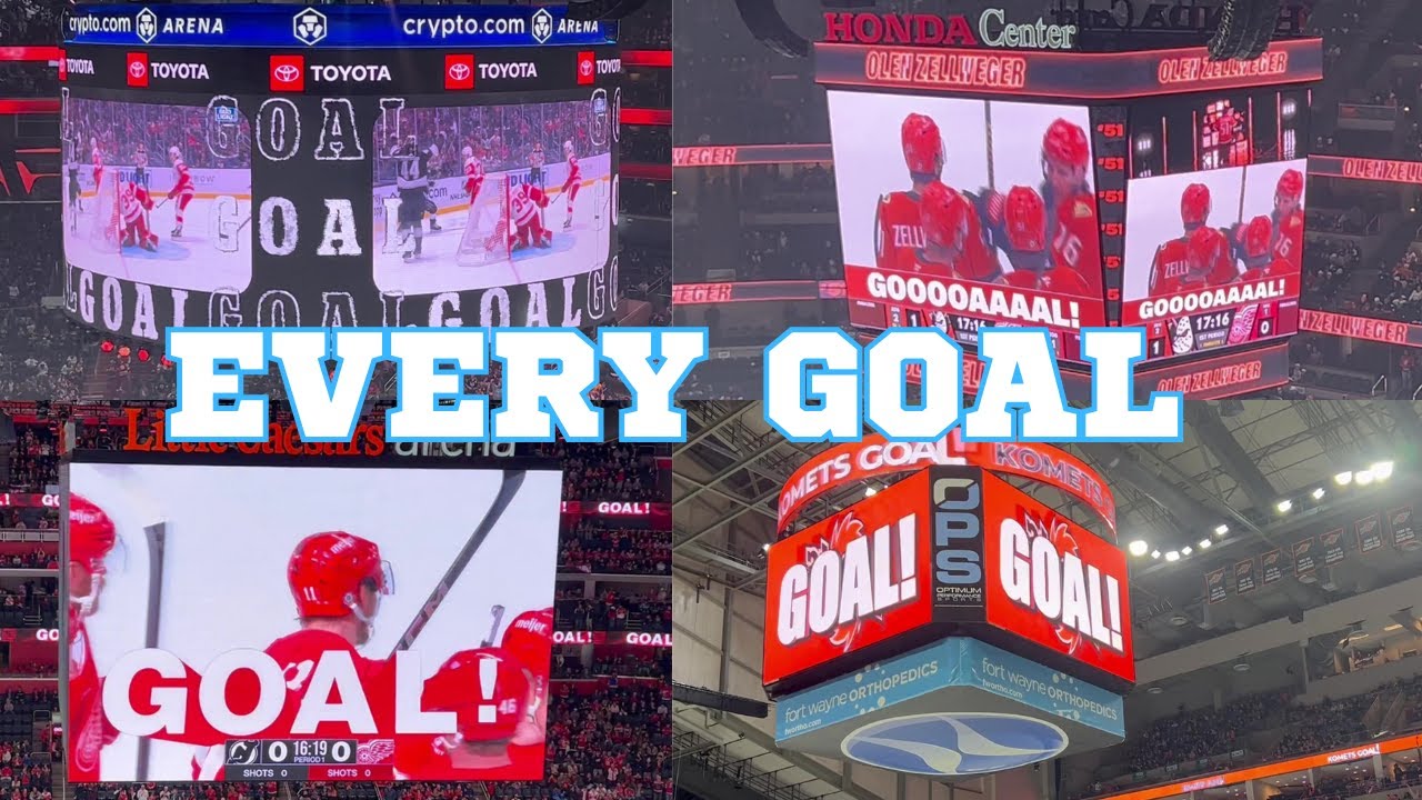 Every Hockey Goal That I Have Filmed