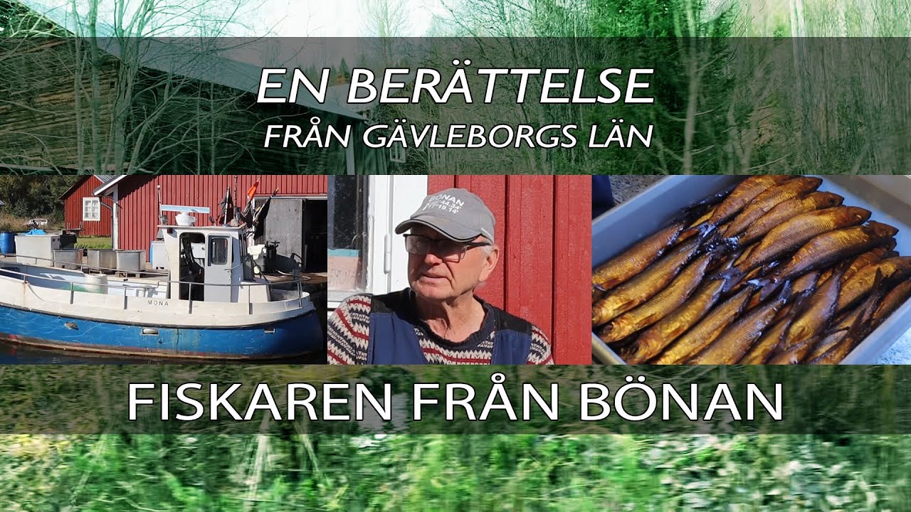 En berättelse från Gävleborgs län - Fiskaren från Bönan