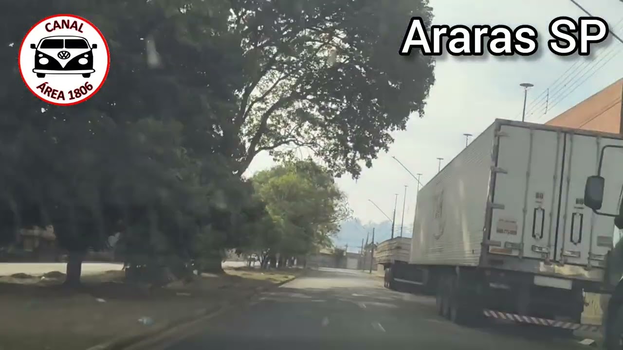 #araras