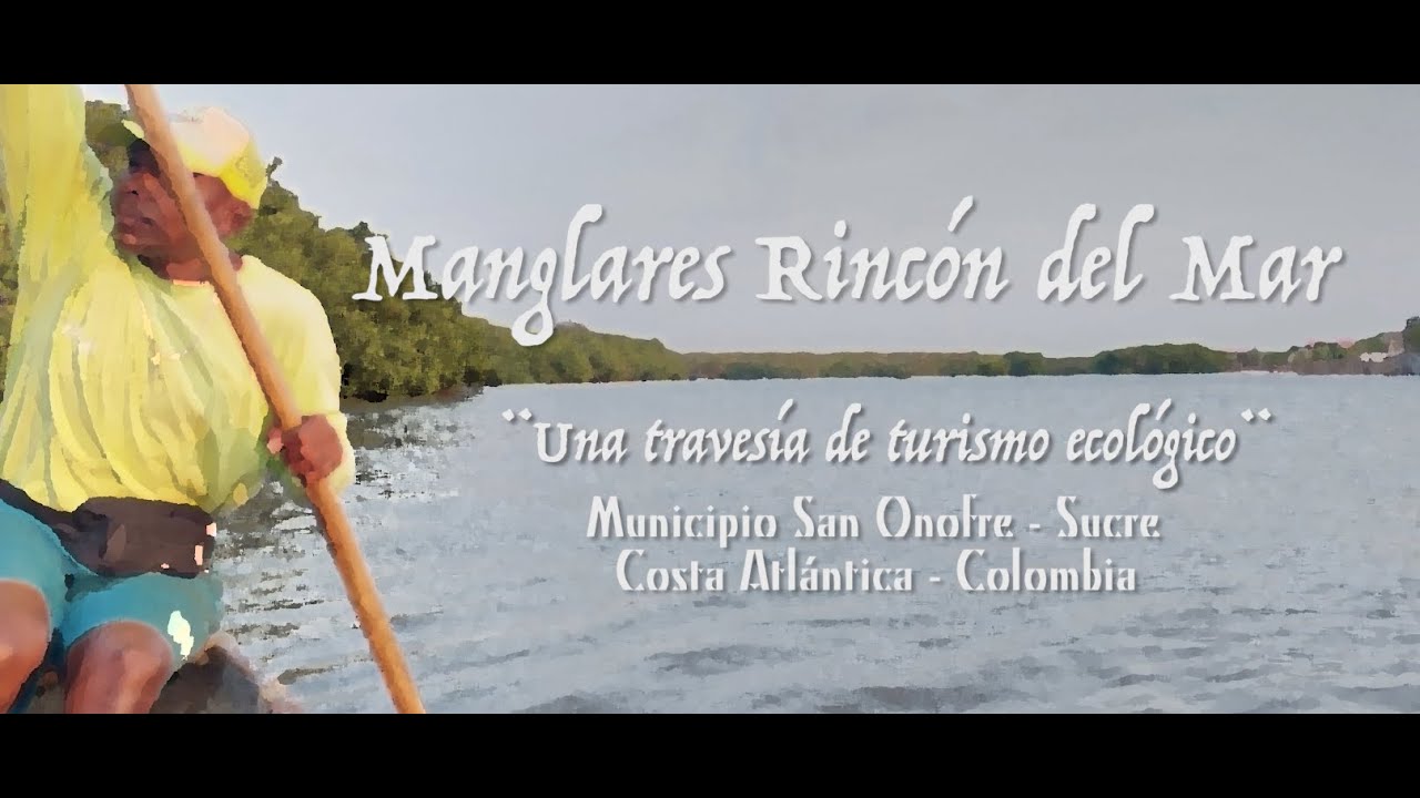 Manglares Rincón del Mar - San Onofre - Sucre