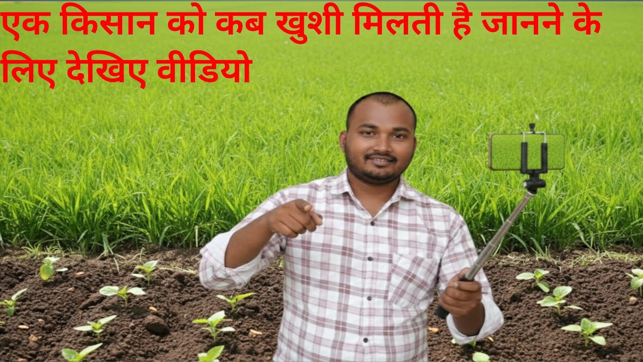 देखिए बीज से कैसे निकले नन्हे पौधे! 😍 मेरी मेहनत रंग लाई (Palak, Kaddu, मूली)