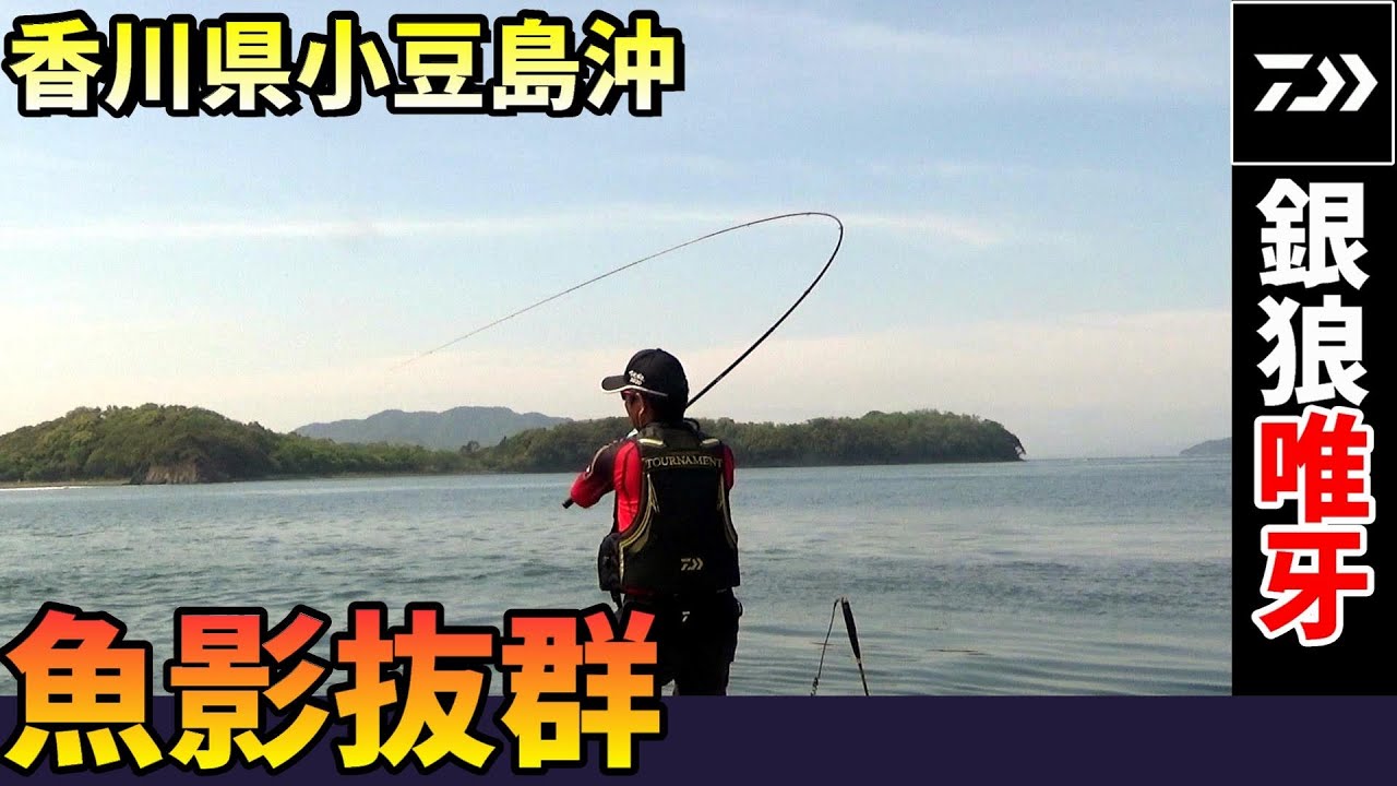 魚影抜群の名礁でチヌ＆マダイを狙う！ in 香川県小豆島沖