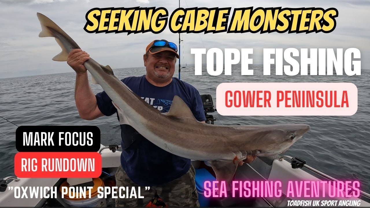 UK boat fishing /uk Tope shark fishing  /Gower Peninsula.sea fishing Bristol channel. Oxwich point .