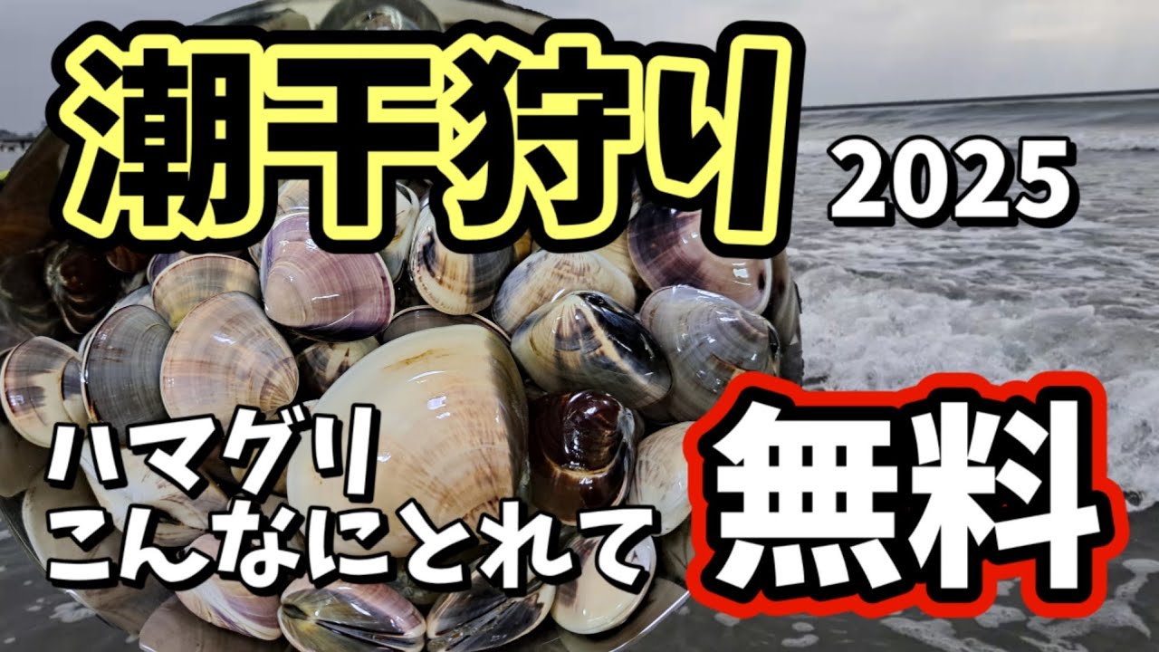 【大洗サンビーチ】無料潮干狩り　茨城県大洗サンビーチ海岸　#潮干狩り　#ハマグリ　#軽バン1人旅