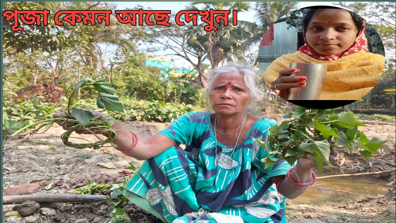 পূজার পিসি পূজা কে কি শেখালো দেখুন। গাছে থেকে কত লাল আলু তুললো পূজার পিসি।।