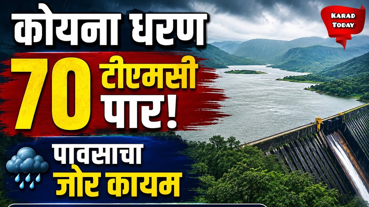 कोयना पाणलोट क्षेत्रात पावसाचा जोर कायम | #koynadam #rainupdate #koyna #heavyrain #karadtodaynews 