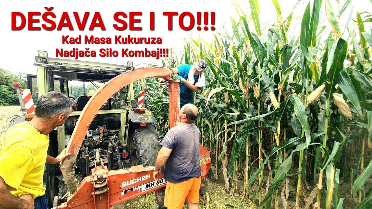 Desava se i To !!! Kad Masa Kukuruza Nadjaca Silo Kombaj | Siliranje Kukuruza | Hurlimann H468 & PZ