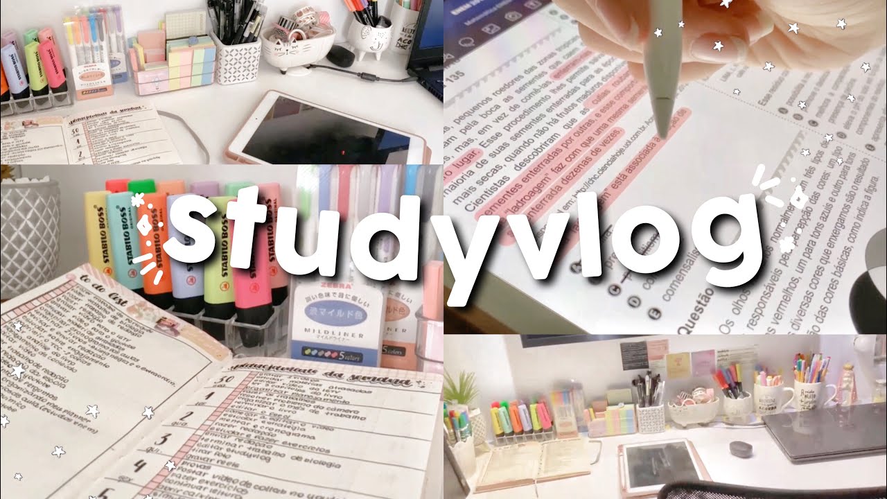 study vlog | study with me