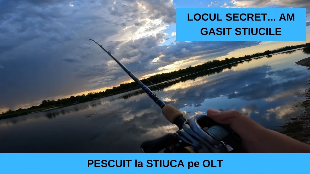 Pescuit la Stiuca pe Olt, Locul Secret cu Multe Stiuci