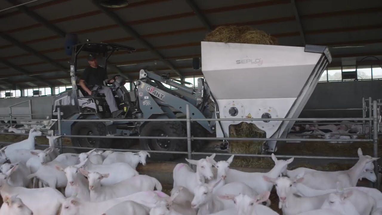 SIEPLO SILAGE DISTRIBUTOR