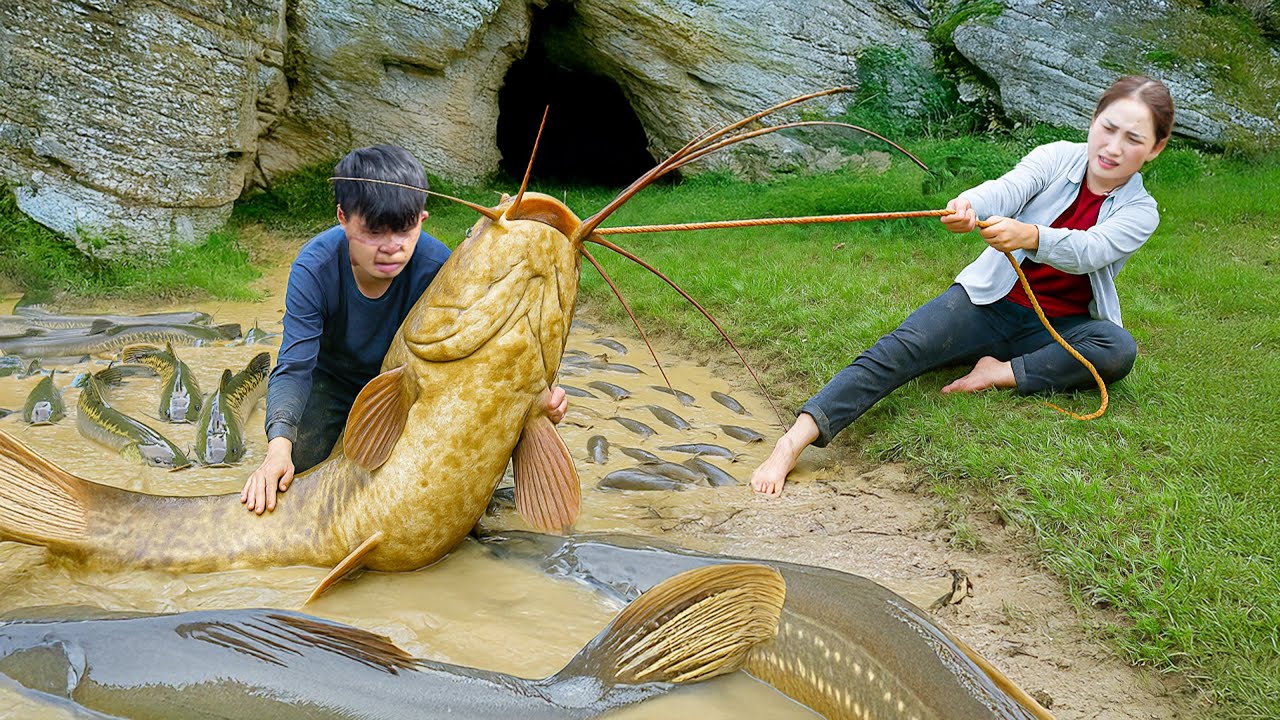 Harvesting +1000kg Giant Tropical Swamp Catfish, Grilled Over Wood Fire | Wild Forest Dish