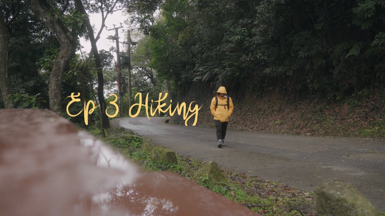 Hiking video | Hong Kong | tai po kau forest walk