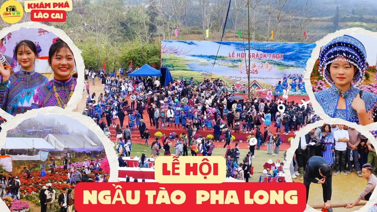 LỄ HỘI NGẦU TÀO PHA LONG - LỄ HỘI LỚN NHẤT TÂY BẮC CỦA NGƯỜI DÂN TỘC MÔNG
