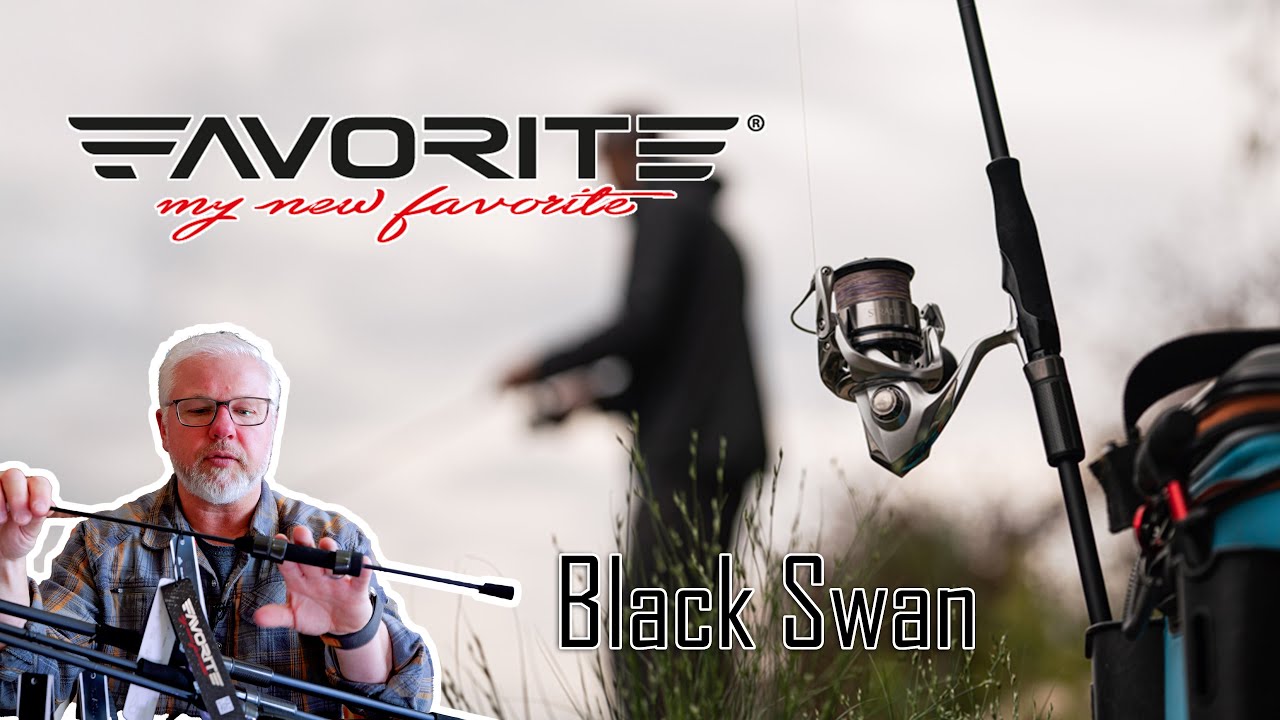 The Favorite Black Swan Spinning Rod - Why are they SO GOOD!?
