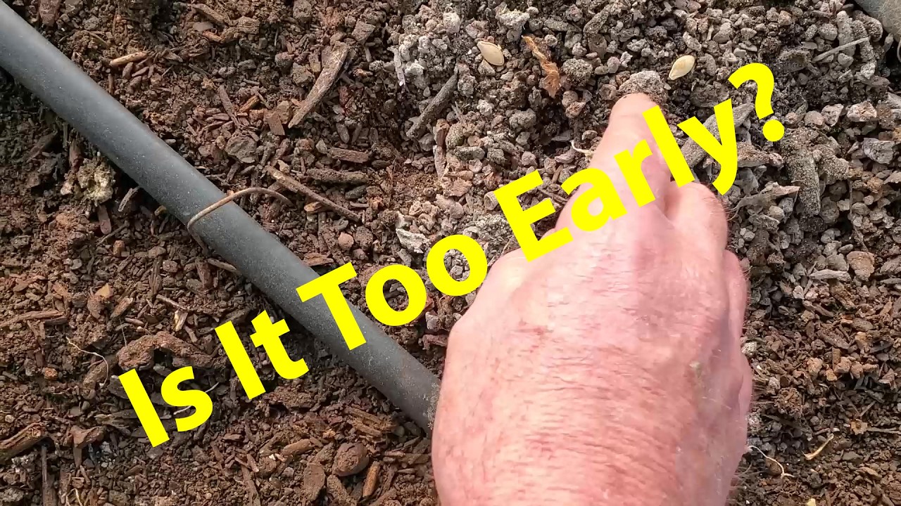 Early Planting In February