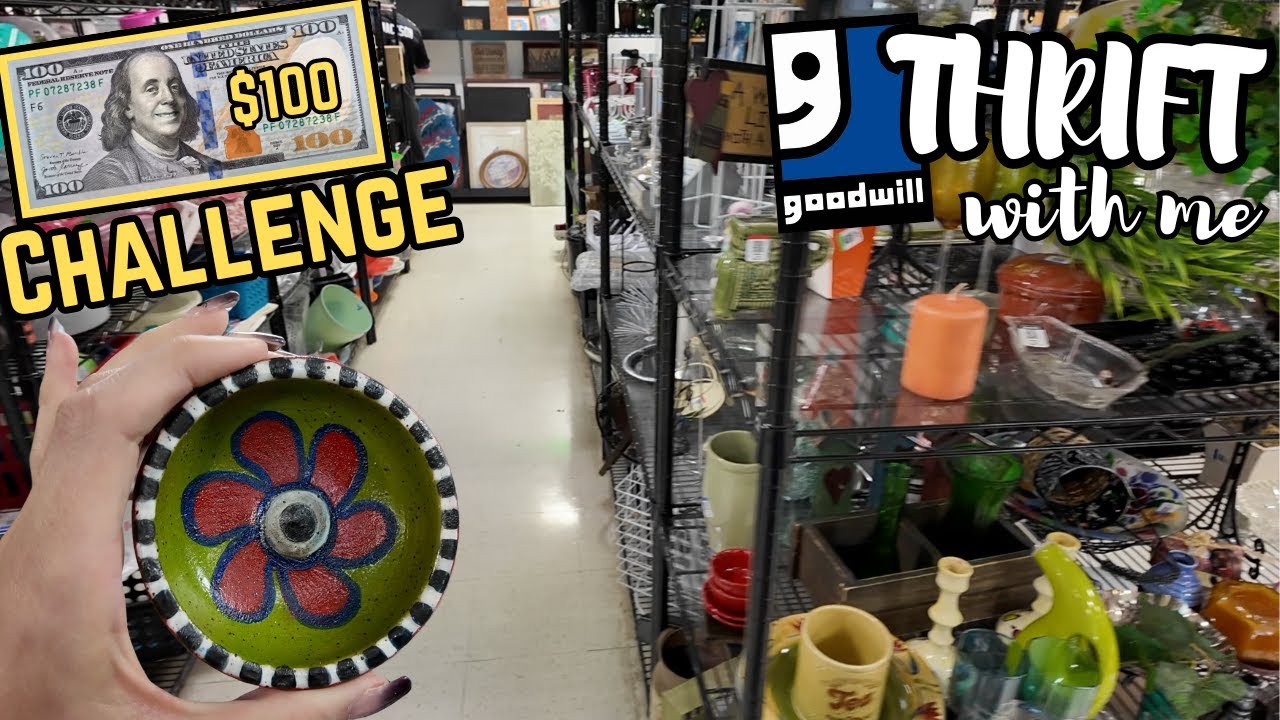 $100 Goodwill Thrift CHALLENGE | Crazy Lamp Lady | Reselling