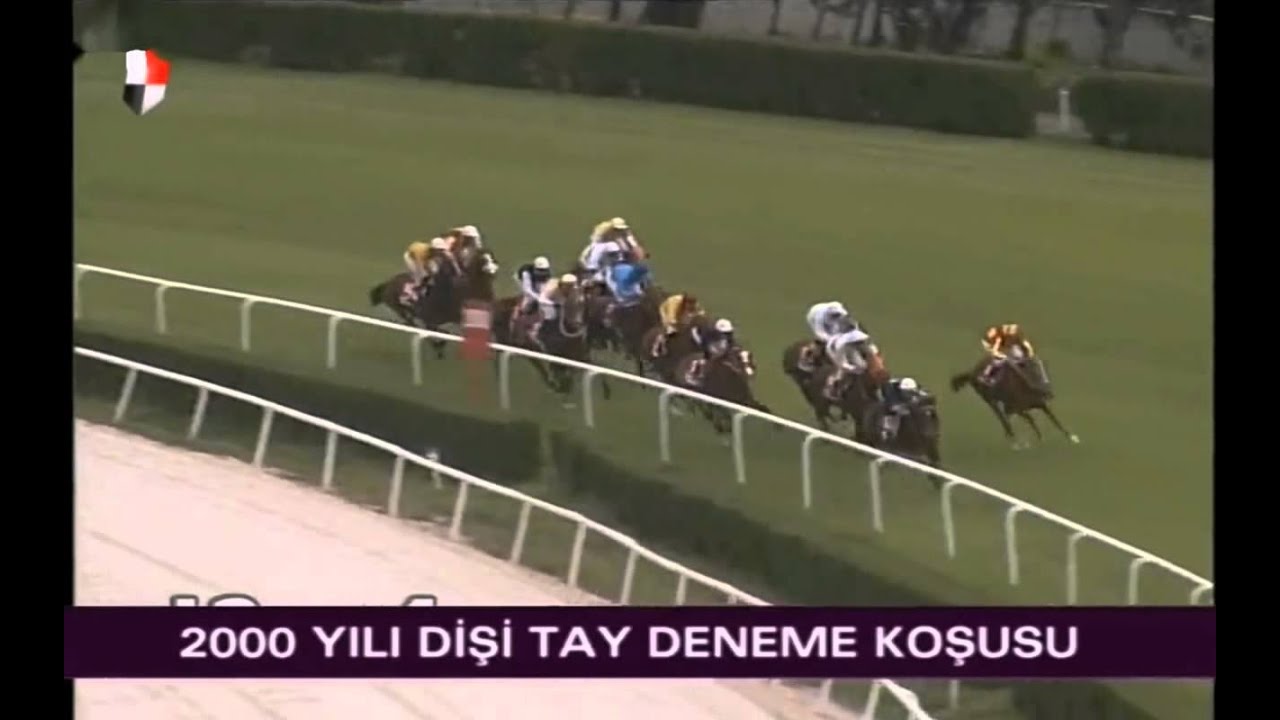 DİŞİ TAY DENEME KOŞUSU  2000