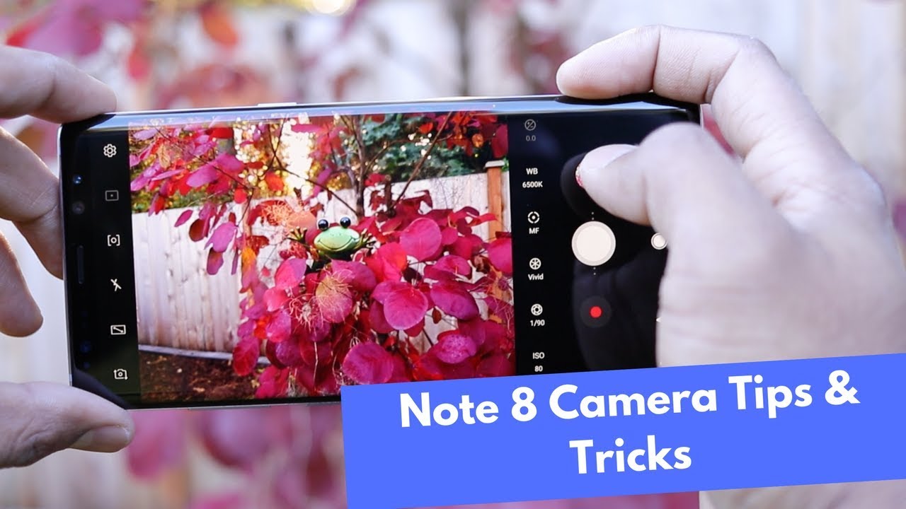 Top Note 8 Camera Tips and Tricks || Master your Note 8 Camera