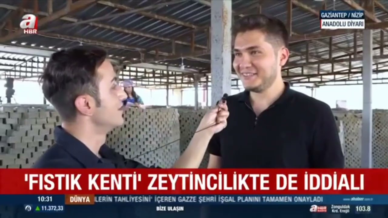 ANADOLU DİYARI -NİZİP ( MEHMET GEÇGEL)