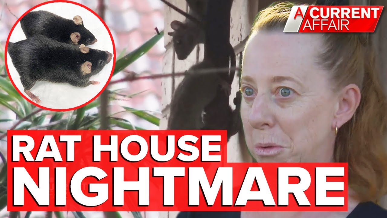 The 'rat house' leaving neighbours worried about their health | A Current Affair