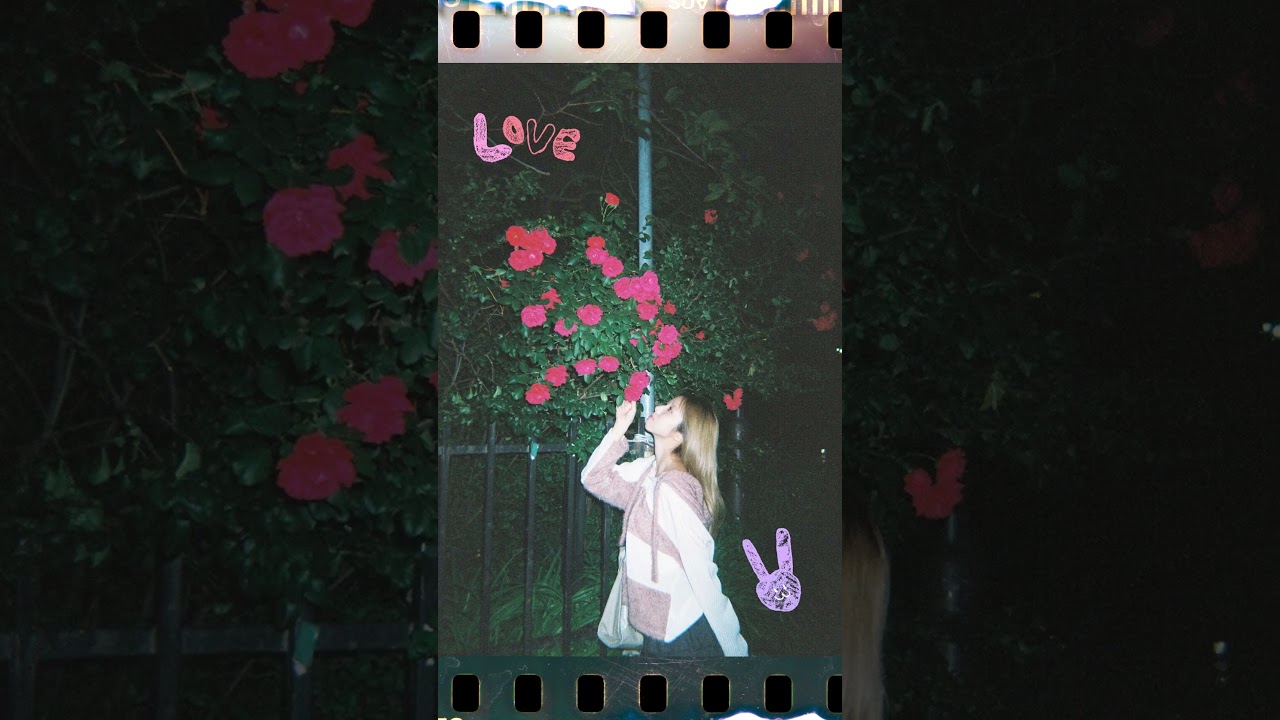 IREH's PURPLE★DUMP #퍼플키스 #PURPLE_KISS #이레 #Ireh #PURPLEDUMP